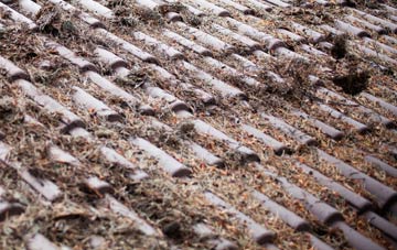 Dowe Hill roof cleaning companies